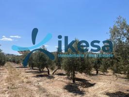 Terreno en venta en Peal de Becerro, Andalucia photo 0