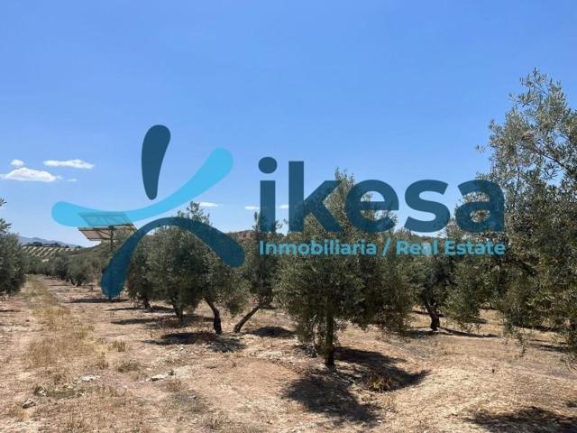 Terreno en venta en Peal de Becerro, Andalucia photo 0