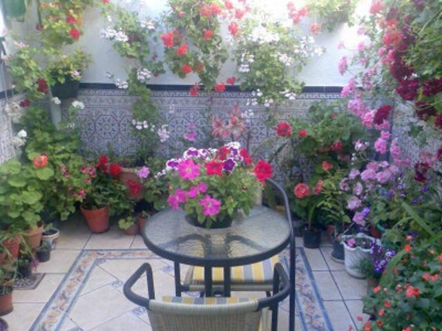 Casa en venta en Baena, Zona Centro Histórico photo 0