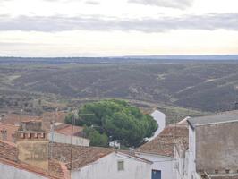 Chalet en venta en Cañaveral, Calle Alfarería, 10820 photo 0
