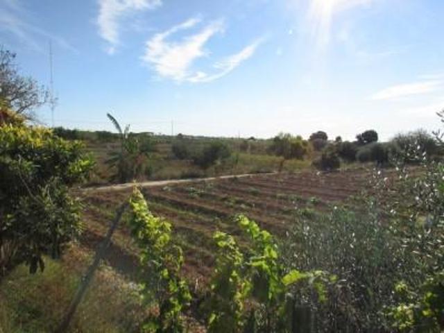 Parcela en venta en Guardamar del Segura, Campico de Guardamar photo 0