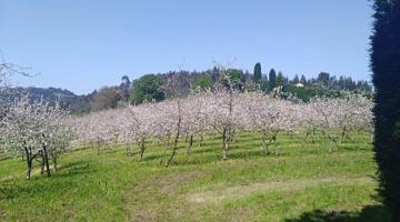 Chalet en venta en Gijón, Periferia - Cenero photo 0