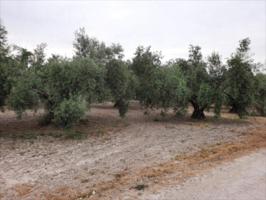 Terreno en venta en Lucena, Lucena photo 0