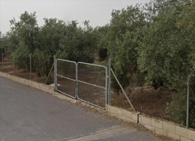 Terreno en venta en Lucena, Lucena photo 0