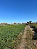 Terreno en venta en Chipiona, Carretra de Rota photo 0