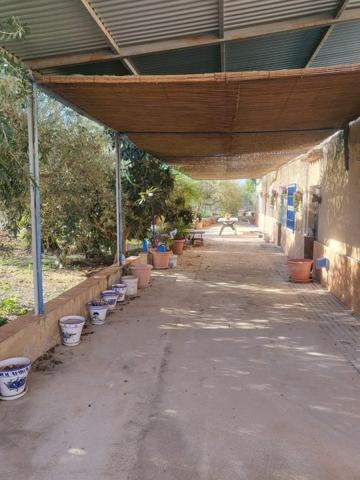 Chalet en venta en Hellín, Isso photo 0