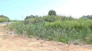 Terreno en venta en Denia, LM KM 7 AL 11-PY ALMADRAVA photo 0