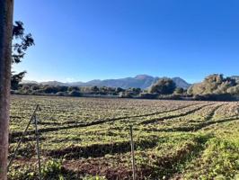 Chalet en venta en Campanet, Nucleo urbano 55 photo 0