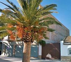 Terreno en venta en Cijuela, Calle Real, 18339 photo 0