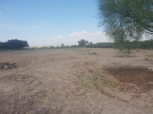 Terreno en venta en Guardamar del Segura, Campico photo 0