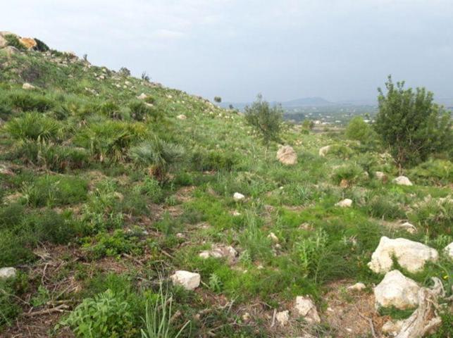 Terreno en venta en Pego, Pego photo 0