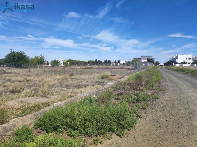 Terreno en venta en Olivenza, Olivenza photo 0
