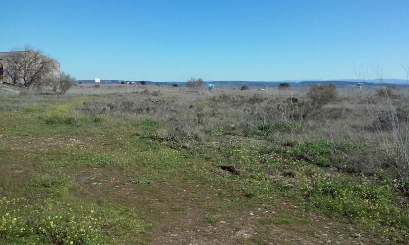 Terreno en venta en Talavera de la Reina, El Casar De Talavera photo 0