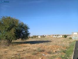 Terreno en venta en Alcalá de Guadaira, Campo de Las Beatas. photo 0