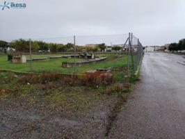 Terreno en venta en Olivenza, Olivenza photo 0