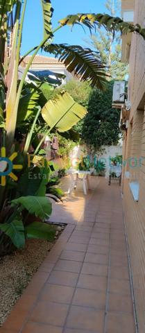 Apartamento en alquiler en Oliva, Playa photo 0