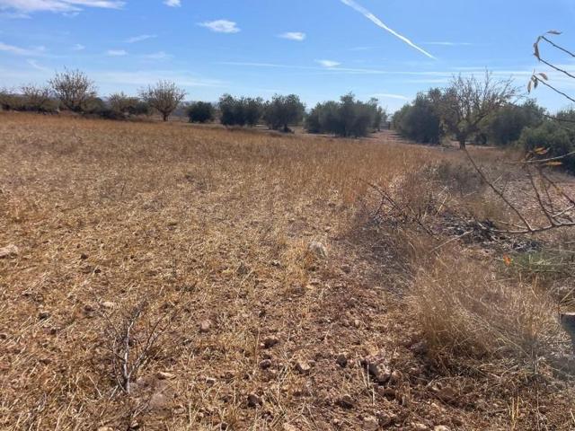 Terreno en venta en Jorquera, Jorquera photo 0
