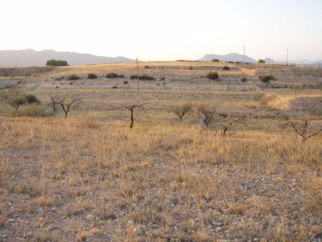Terreno en alquiler en Novelda, 03660 photo 0