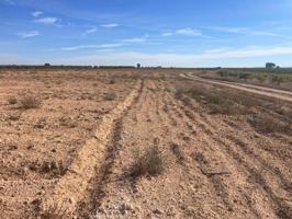 Terreno en venta en Jorquera, Jorquera photo 0