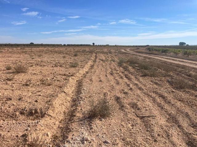 Terreno en venta en Jorquera, Jorquera photo 0