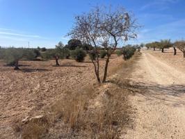 Terreno en venta en Jorquera, Jorquera photo 0