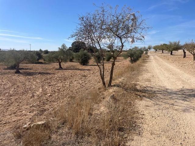 Terreno en venta en Jorquera, Jorquera photo 0