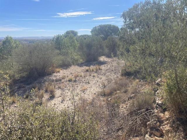 Terreno en venta en Jorquera, Jorquera photo 0