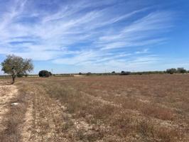 Terreno en venta en Jorquera, Jorquera photo 0