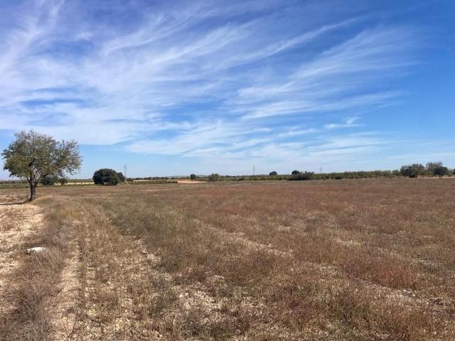 Terreno en venta en Jorquera, Jorquera photo 0