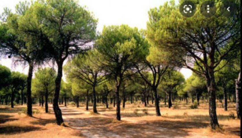 Terreno en venta en La Roda, San Isidro photo 0