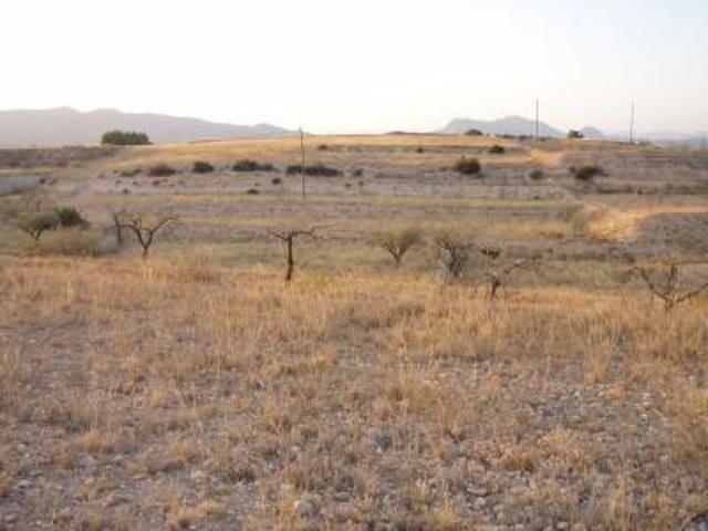 Terreno en venta en Monovar-Monover, El ravalet photo 0