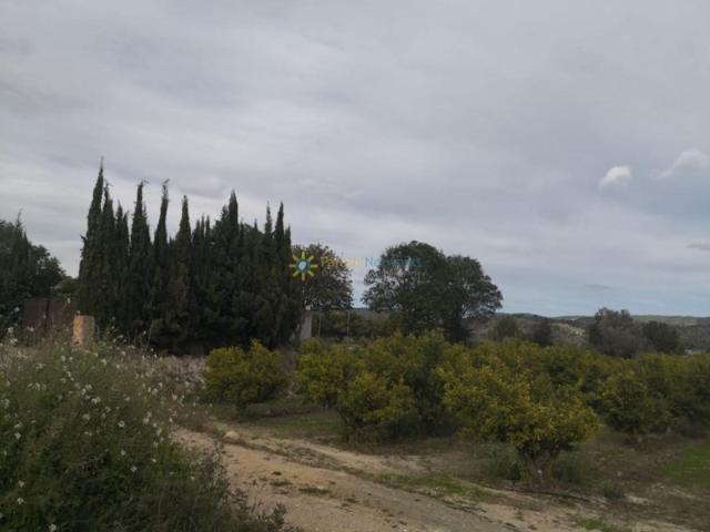 Terreno en venta en Benigànim photo 0