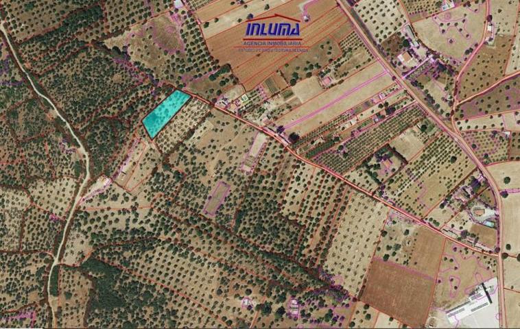 Chalet en venta en Higuera la Real, Higuera La Real photo 0