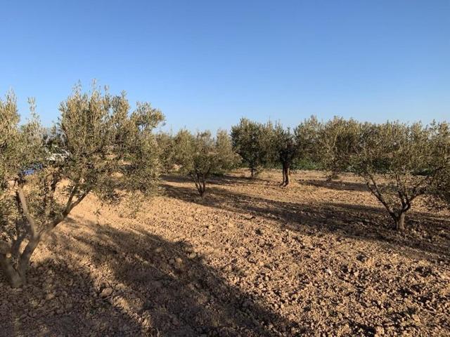 Terreno en venta en Totana, EL PARETON photo 0