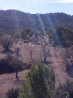 Terreno en venta en Monovar-Monover, Collao victoriano photo 0