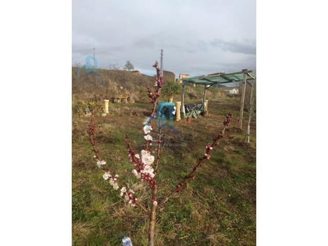 Terreno en venta en Cabra del Camp photo 0