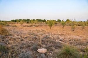 Terreno en venta en Yecla, Yecla photo 0