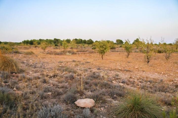 Terreno en venta en Yecla, Yecla photo 0