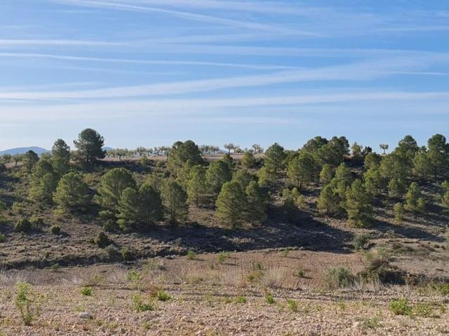 Parcela en venta en Yecla, Raspay photo 0