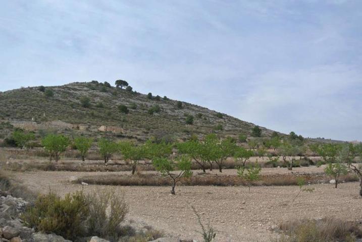 Parcela en venta en Jumilla, Canada del trigo photo 0