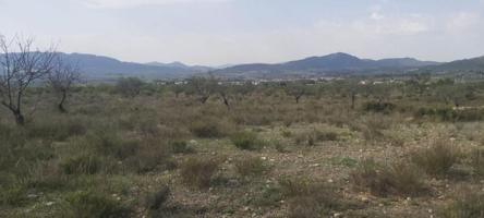 Terreno en venta en Salinas, Salina photo 0