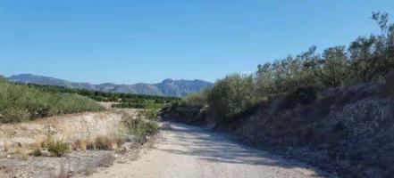 Terreno en venta en Benicolet, El mollo photo 0