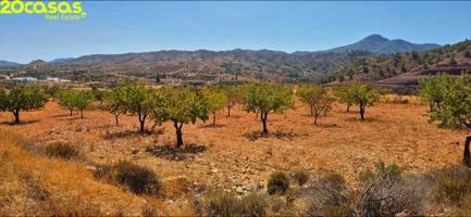 Terreno en venta en Abanilla, CRTA. MASCISVENDA photo 0