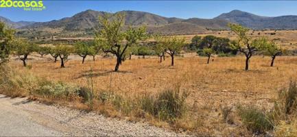 Terreno en venta en Abanilla, CRTA. MASCISVENDA photo 0