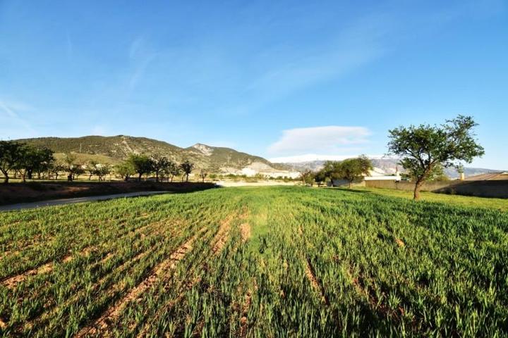 Terreno en venta en Padul, South of spain photo 0