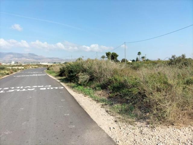 Terreno en venta en Crevillent, PARTIDA DE LA MANGRANERA photo 0