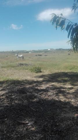 Chalet en venta en La Palma del Condado, JUNTO A-49 photo 0