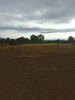 Parcela en venta en Lorca, Diputación de Jarales photo 0