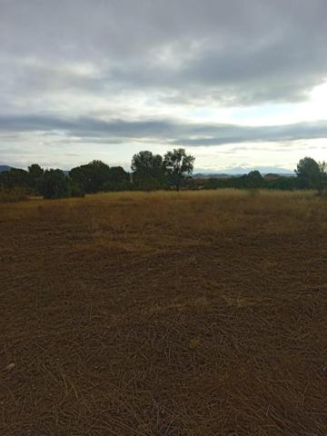 Parcela en venta en Lorca, Diputación de Jarales photo 0