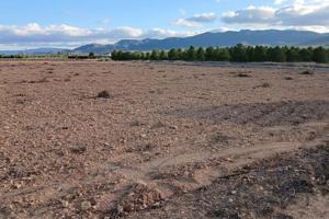Terreno en venta en Yecla photo 0